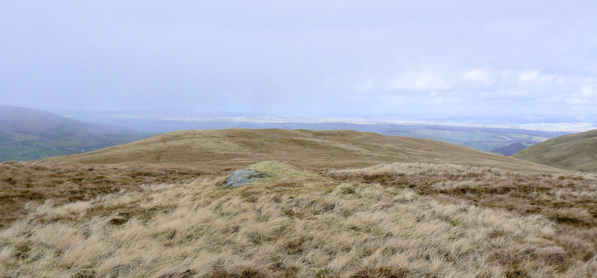 Swarth Fell's summit Swarth Fell's summit
